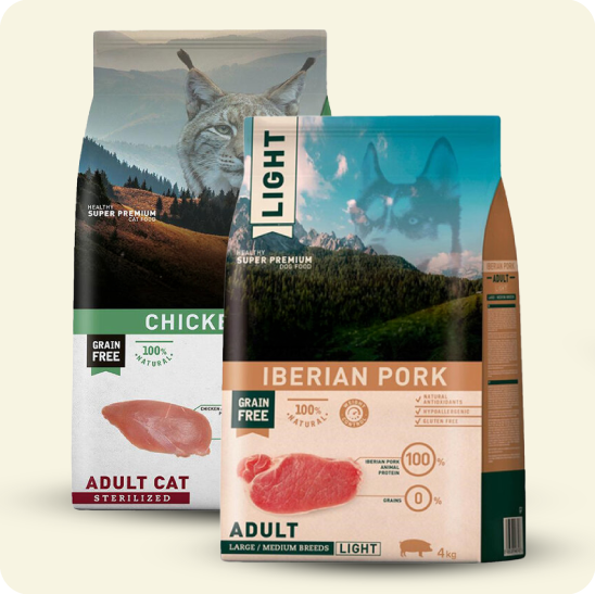 Alimentação